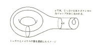 トーラスとメビウスの帯のハイブリッドトポロジー