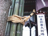 浅草寺の松飾