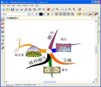 iMindMap