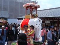 白い像　浅草寺