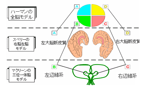 ハーマンの前納モデル