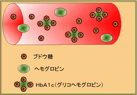 hba1c.gif