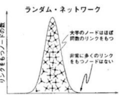 ランダムネットワーク