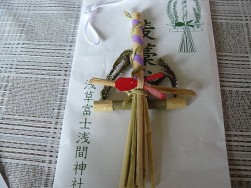 麦藁蛇