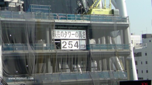 東京スカイツリー　254m