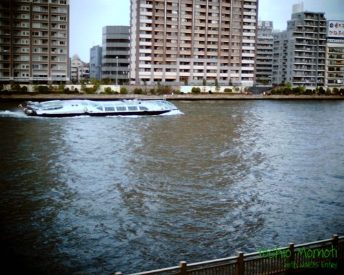 浜町公園からヒミコを撮る