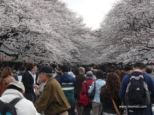 上野公園にて