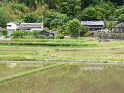 矢岳駅から