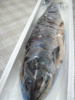 新巻鮭