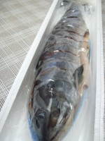 新巻鮭
