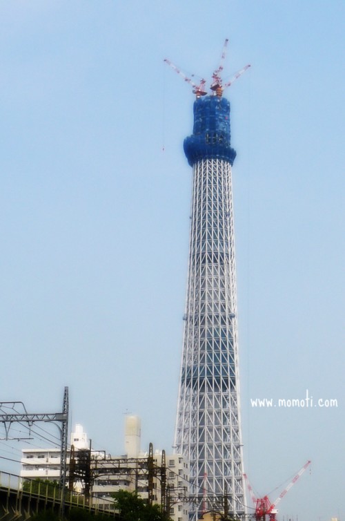 枕橋からの東京スカイツリーは389m