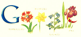 Googleの植物の日 牧野富太郎の誕生日 ロゴ。クロスプロセス