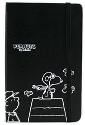 moleskin