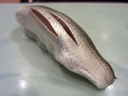 小鰭