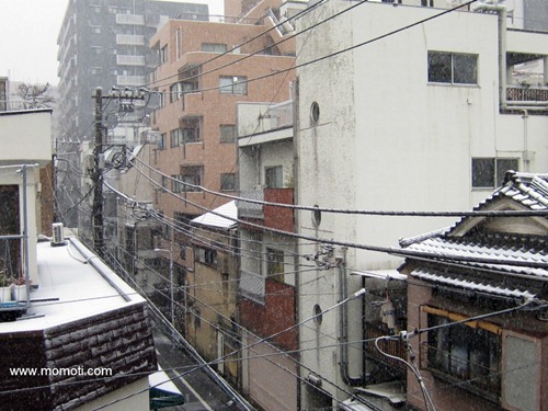 2月29日の雪