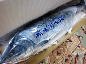 佐藤水産の熟成新巻鮭