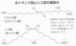 トランス型とシス型の構造