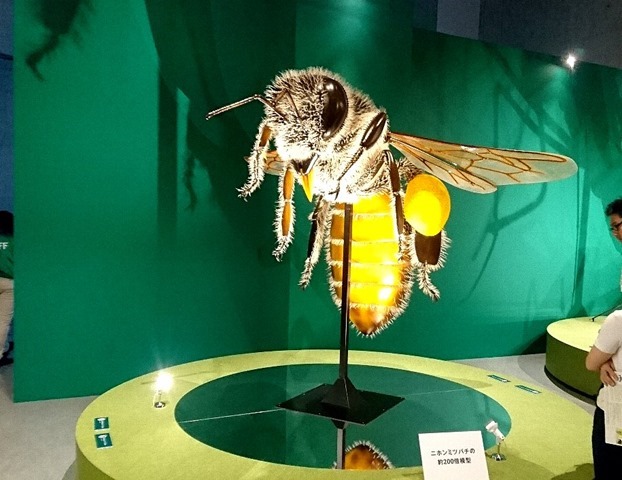 大きな蜂