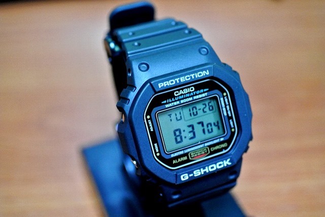 CASIO_G-SHOCK_BASIC_FIRST_TYPE_DW-5600E-1V