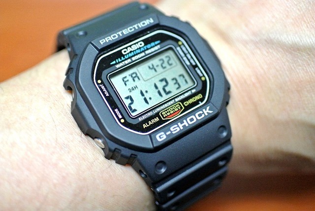 CASIO_G-SHOCK_BASIC_FIRST_TYPE_DW-5600E-1V