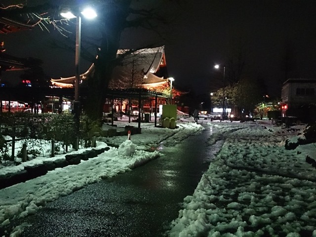 雪と雨の浅草寺