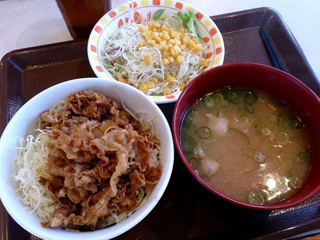 牛丼ライトととん汁とサラダ