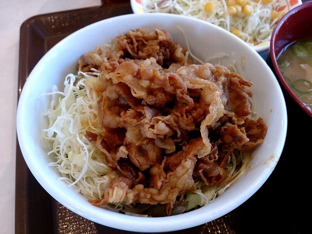 牛丼ライト