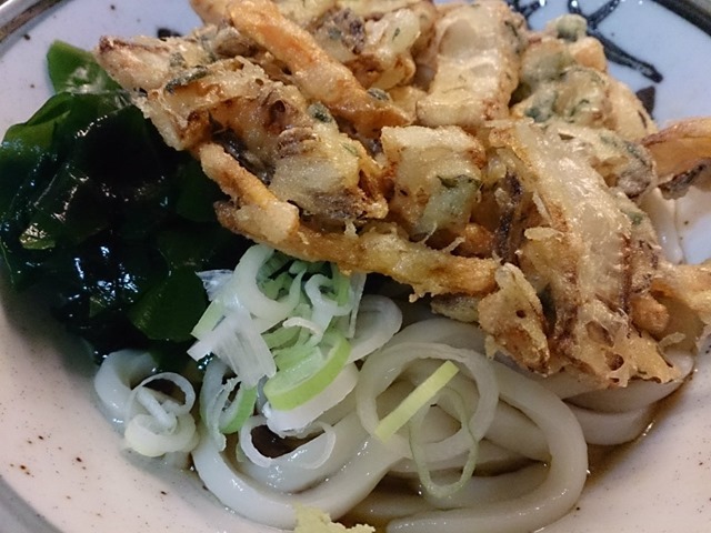 冷やし野菜天うどん