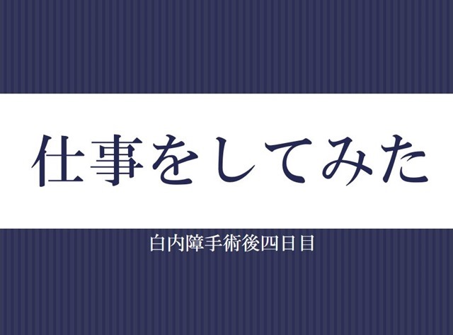 仕事をしてみた