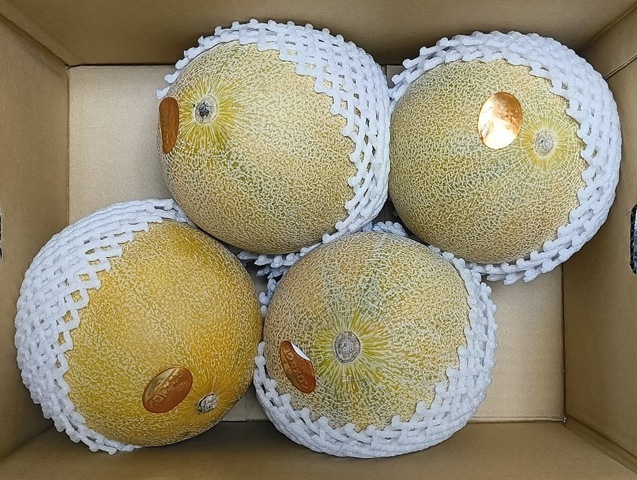 今年も4玉入りだ
