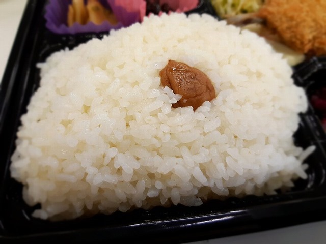 アジフライ弁当