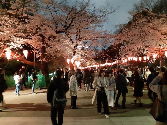 上野恩賜公園