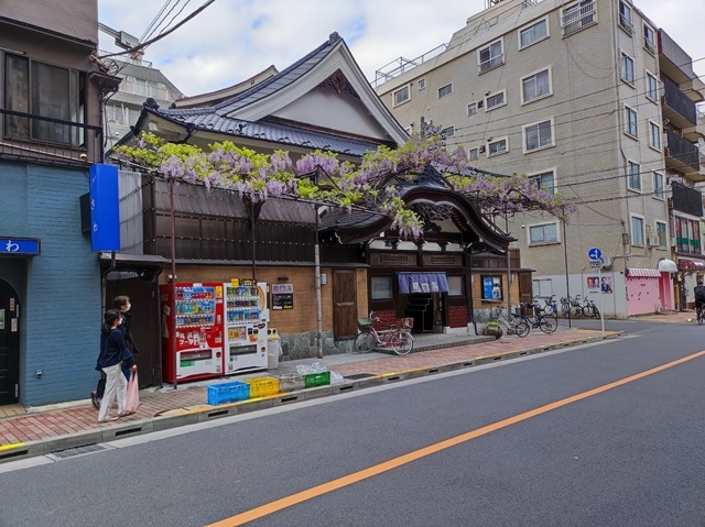 曙湯と藤の花