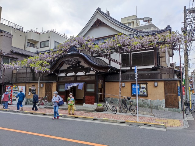 曙湯と藤の花