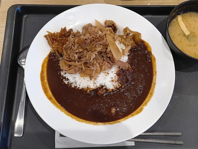 オリジナルカレギュウ並盛（ライス少なめ）