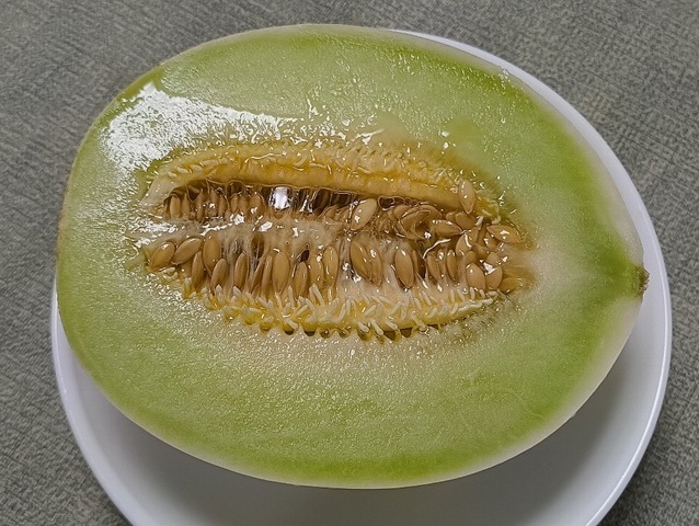 果実の断面