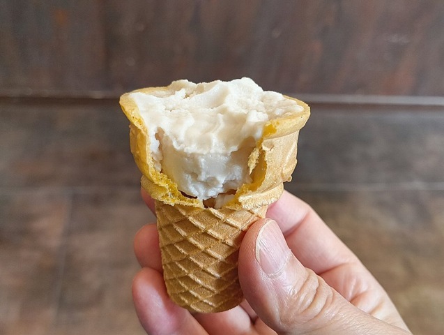 コーンとアイスのハイブリッドで食べる