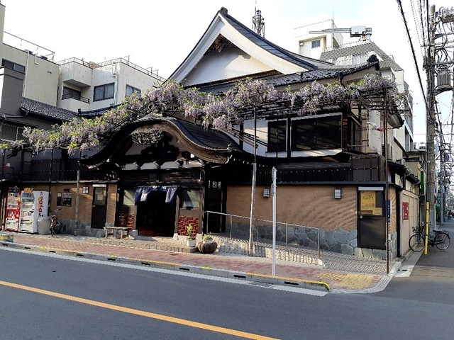 曙湯と藤の花（平成31年4月）