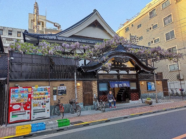 曙湯と藤の花