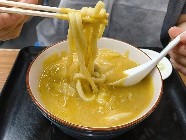 塩カレーうどん