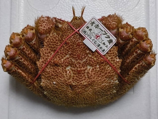 『オホーツクの毛蟹』を「手巻き寿司」で。これぞハレの日の味、身と味噌の「ハイブリッド」だ！今年も家族揃って幸せにいただいたのだよ（笑）。 （オホーツクの毛蟹：西村さんからの贈り物／株式会社マルイ石澤水産）