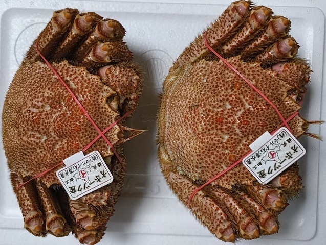 オホーツクの毛蟹