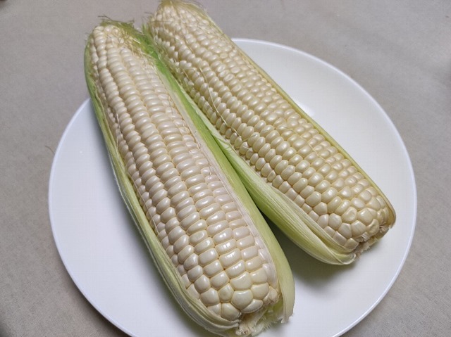 プラチナコーンXかい