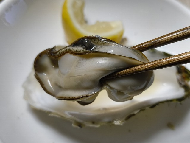 宝物のような身のふくらみ