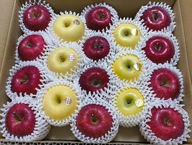 「下河原さん」から「盛岡りんご（ふじ、はるか、シナノゴールド）」をいただいたのだ。今年スーパーで「りんご」を買おうと思うと驚愕の値段なのだが、沢山の「りんご」を贈っていただいてあたしゃうれしいのだよ（笑）。（下河原さんからの贈与：北田果樹園）