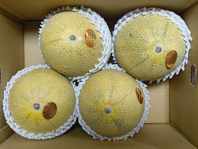 今年も4玉入りだ