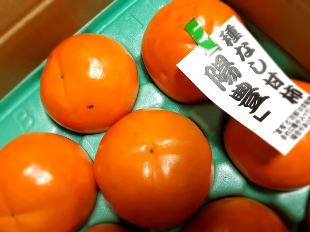 陽豊柿