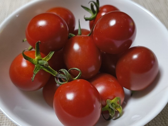 JAほこたのミニトマト