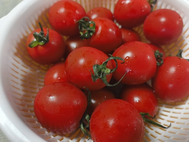 JAほこたのミニトマト（あまエル）