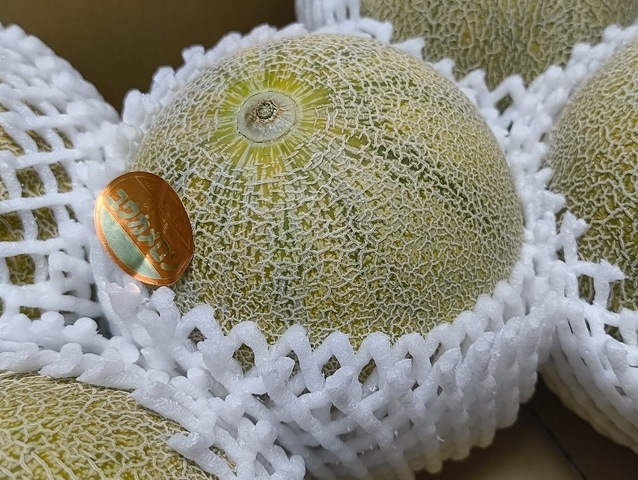 ユウカメロン